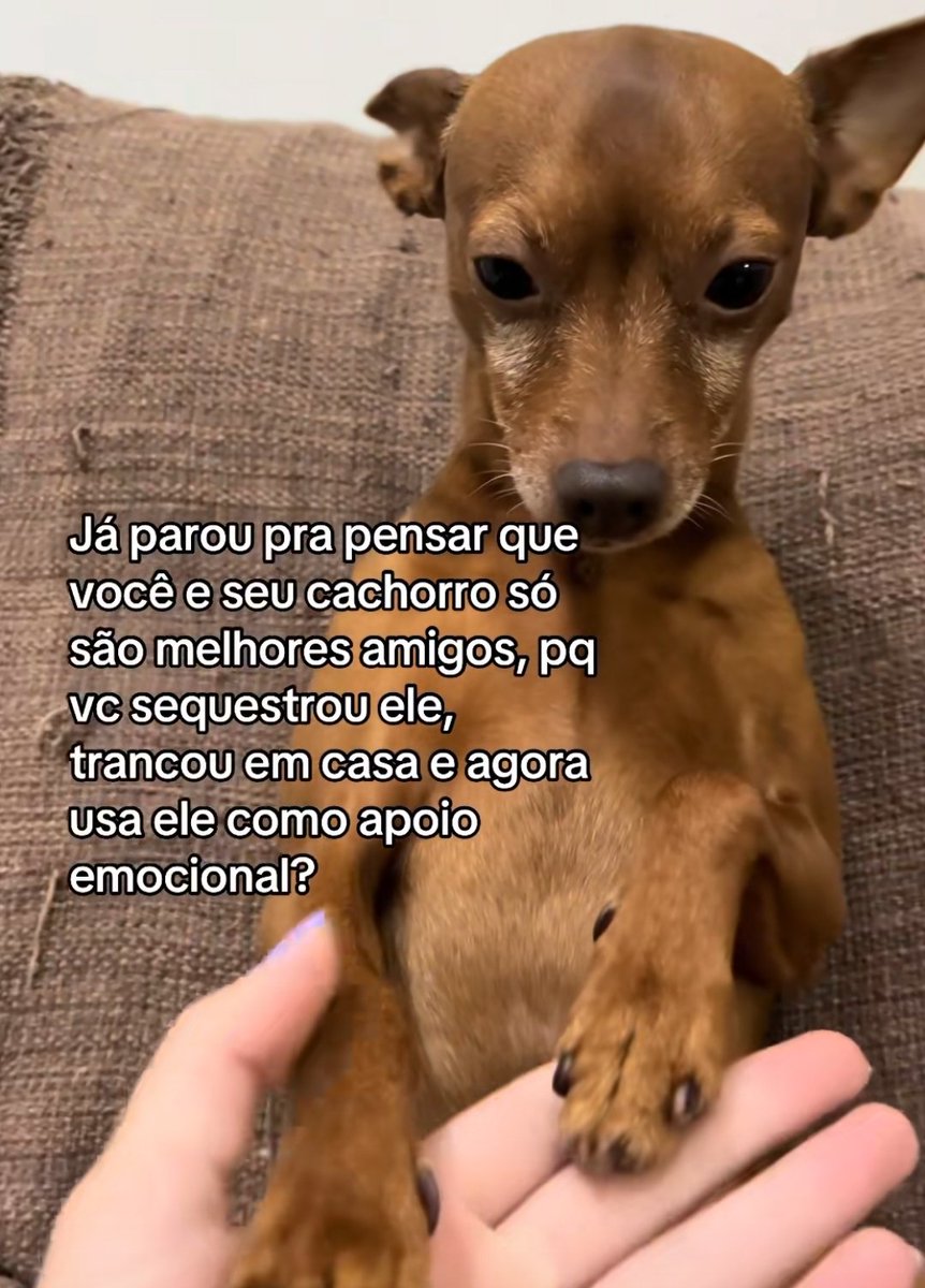 meltedvideos's tweet image. 