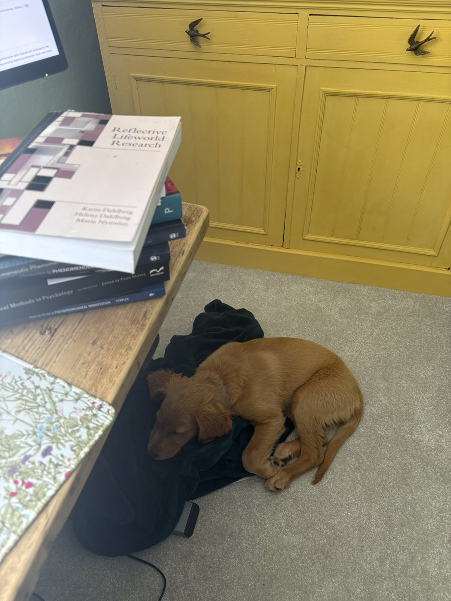 I accept my reflexivity on this one but… I have the best research assistant ever!