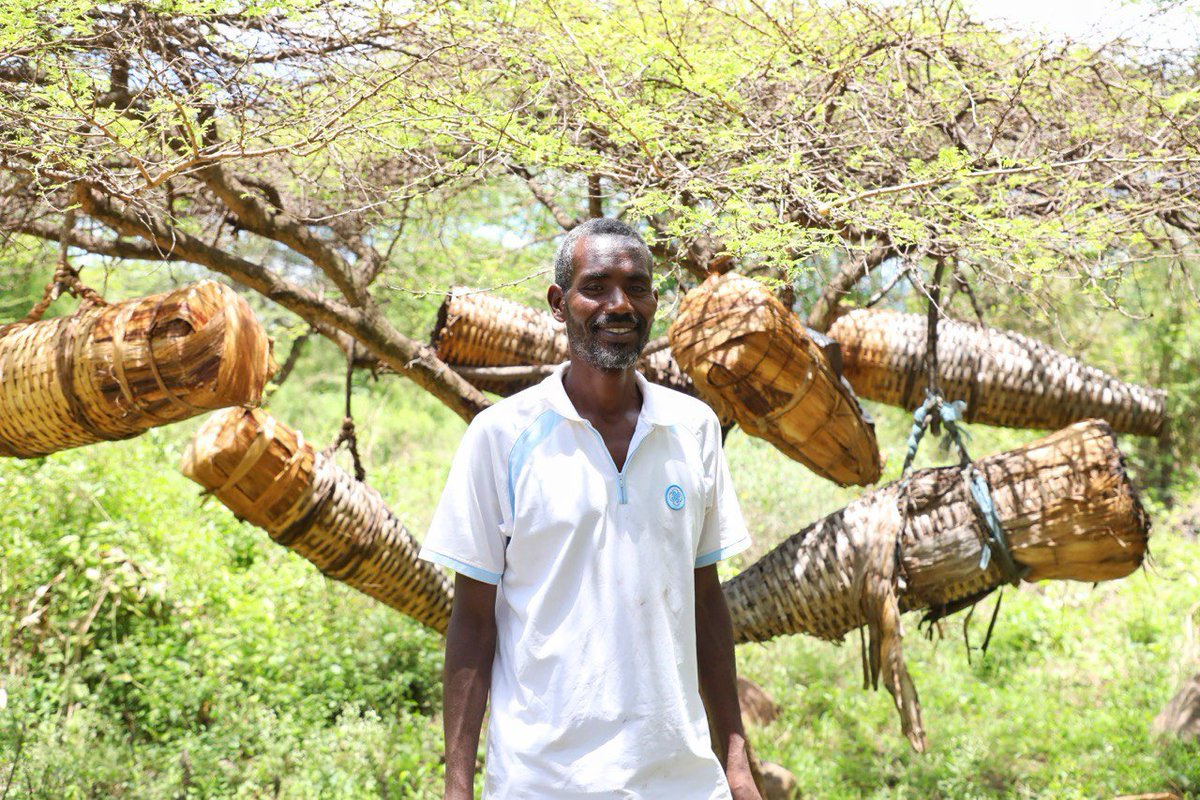 UNDP Ethiopia (@undpethiopia) on Twitter photo Communities once displaced by flooding are finding renewed hope through the transformative power of nature 🌳. Our ResRep <a href="/GbaydeeDoe/">Sam Gbaydee Doe</a> & <a href="/SweinEthiopia/">Sweden in Ethiopia & AU</a> Head of Dev Cooperation <a href="/JohanRomare/">Johan Romare</a> are in Mirab Abaya to see how community-based forest mgt is creating jobs + 💪resilience. Communities once displaced by flooding are finding renewed hope through the transformative power of nature 🌳. Our ResRep <a href="/GbaydeeDoe/">Sam Gbaydee Doe</a> & <a href="/SweinEthiopia/">Sweden in Ethiopia & AU</a> Head of Dev Cooperation <a href="/JohanRomare/">Johan Romare</a> are in Mirab Abaya to see how community-based forest mgt is creating jobs + 💪resilience.