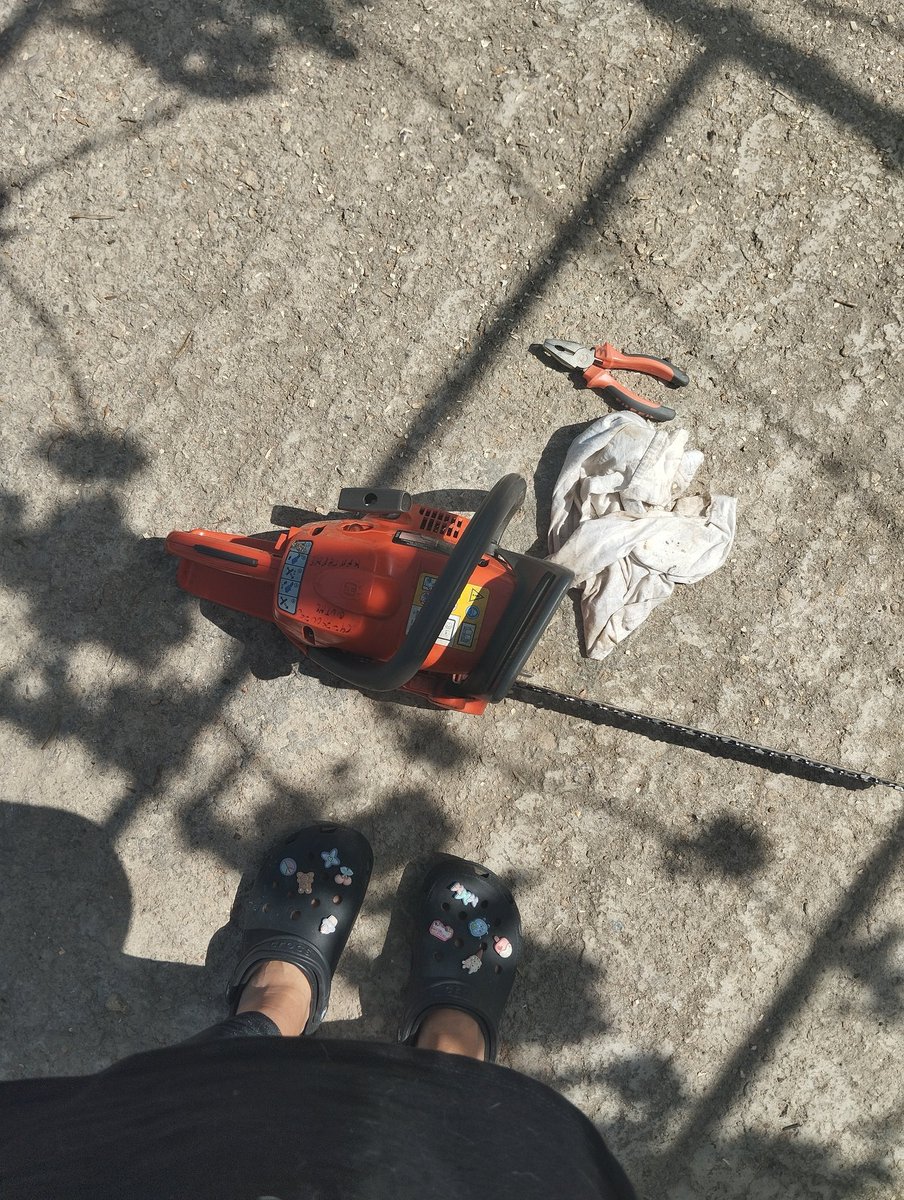 Μικρό μαλακισμενο ρομαντικό ακάου