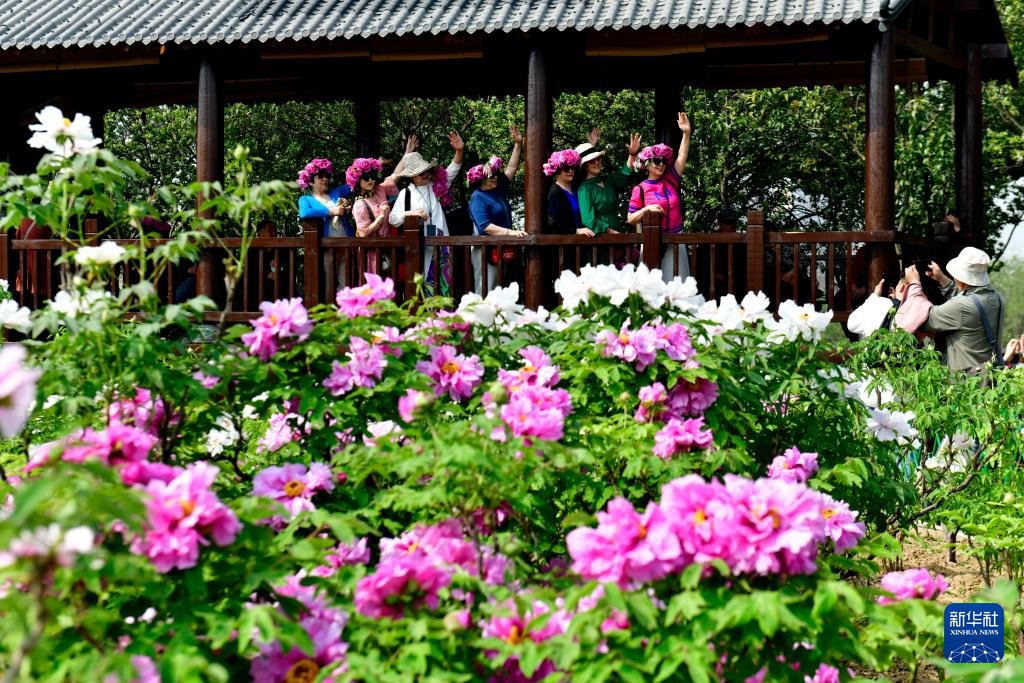 Discover Shandong tweet media