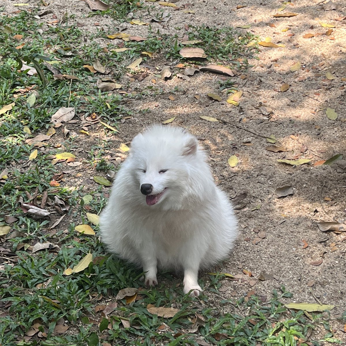 ถ่ายน้องมาเหมือนกัน น่ารักอ้วม