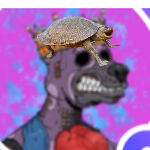TurtleDogSol tweet picture
