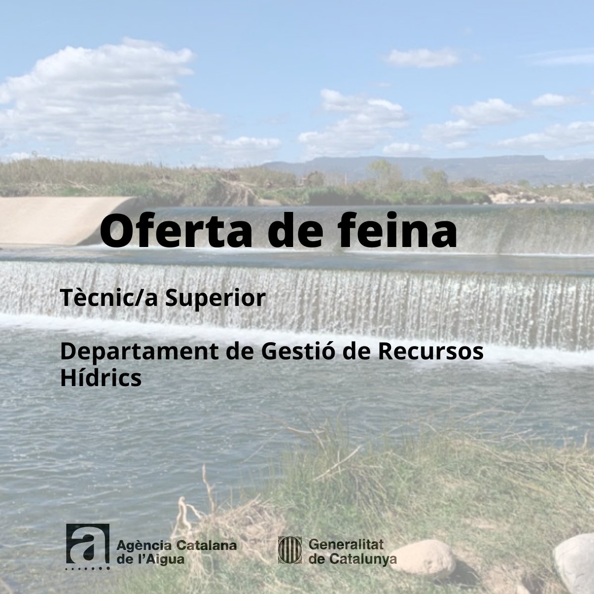 𝗢𝗙𝗘𝗥𝗧𝗔 𝗱𝗲 𝘁𝗿𝗲𝗯𝗮𝗹𝗹 𝗮 l’ <a href="/aigua_cat/">ACA</a>
Lloc de treball de 𝗧è𝗰𝗻𝗶𝗰/𝗮 𝗦𝘂𝗽𝗲𝗿𝗶𝗼𝗿 𝗮𝗹 𝗗𝗽𝘁 𝗱𝗲 𝗚𝗲𝘀𝘁𝗶𝗼́ 𝗱𝗲 𝗥𝗲𝗰𝘂𝗿𝘀𝗼𝘀 𝗛í𝗱𝗿𝗶𝗰𝘀 (ATRI.ACA/28-25)
𝗥𝗲𝘁𝗿𝗶𝗯𝘂𝗰𝗶𝗼́ 𝗮𝗻𝘂𝗮𝗹 𝗯𝗿𝘂𝘁𝗮: 33.394,90 € 
👉 acanet.gencat.cat/geco/curriculu…