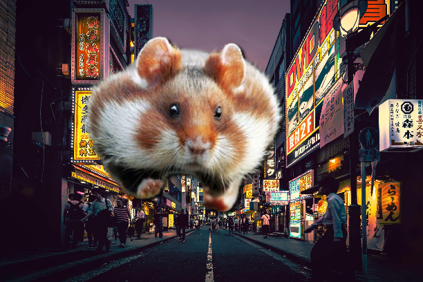 HamsterInChina's tweet photo. @Echinanews @hamster in china https://t.co/Ntzb58FK7G