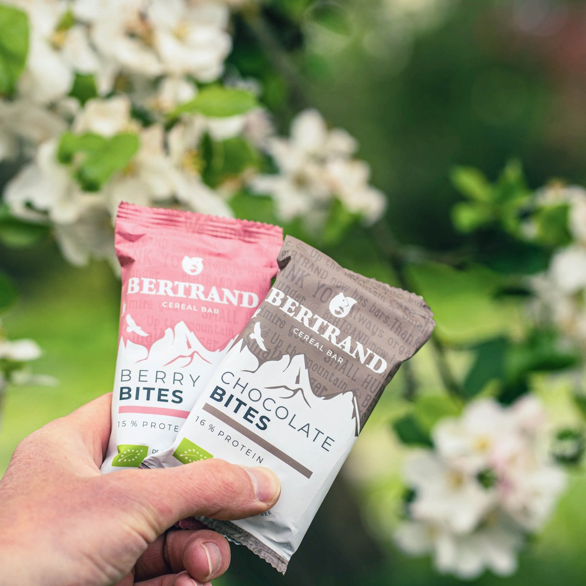 bertrand_bio's tweet photo. Easter's hopping closer, and so are all the sweet temptations 🐣🍫 - but we’ve got your back! Our protein cereal bar keeps things balanced with a delicious crunch and the fuel you need to power through the holiday fun 💪 https://t.co/D9kr9CknJi