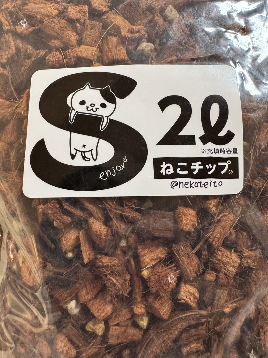 アンスリウム10鉢ネコチップに植え替えたら秒で全て根腐れしました😭
フィロデンドロンやモンステラにネコチップ使っても根腐れせずに成長したのですが😂
一株極小の芋になりかなり危なそうです😭
ロットによるものなのか環境で合わないのかわかりませんが、今後使わないかもしれません😔