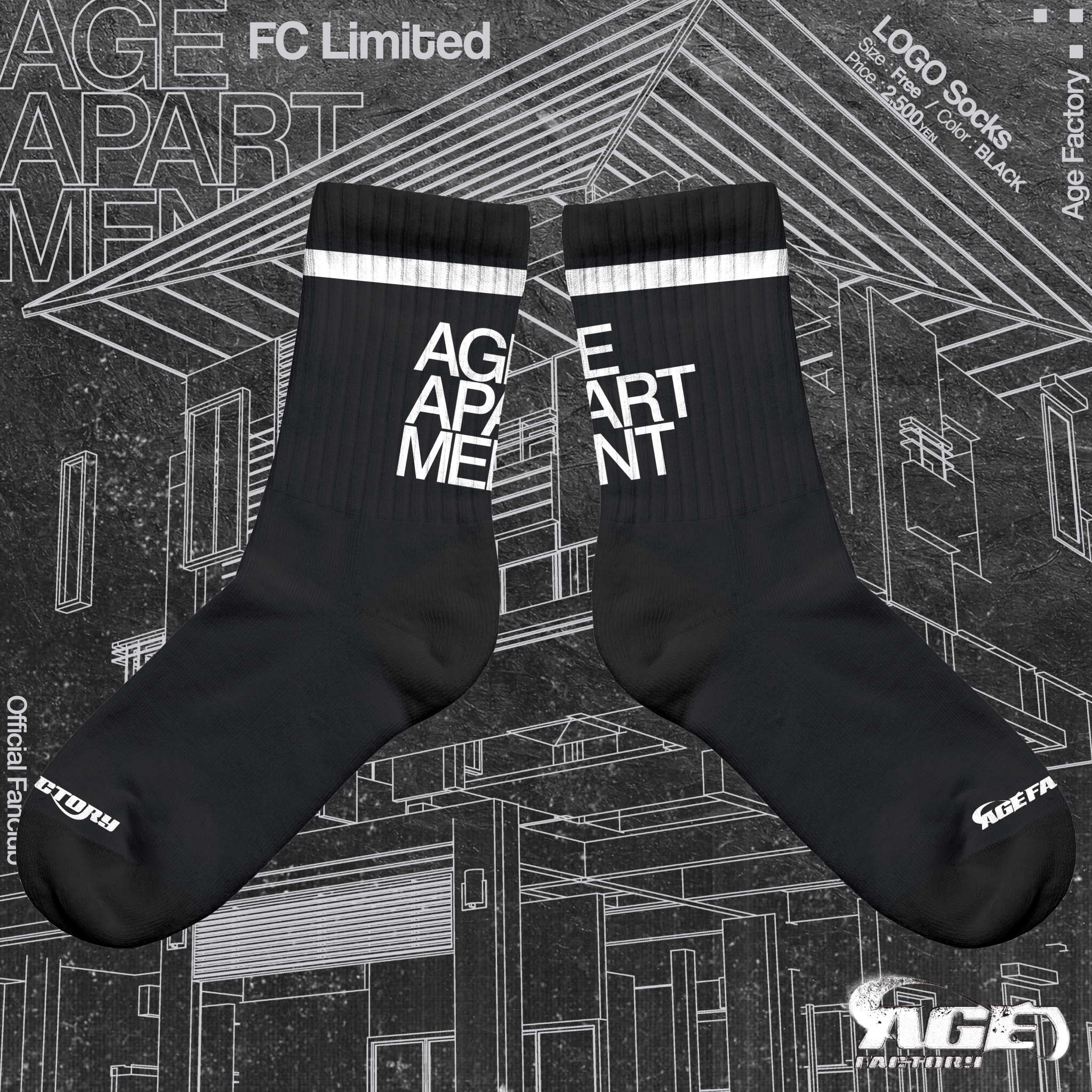 【正規品】 Age Factory on X:  ミュージシャン