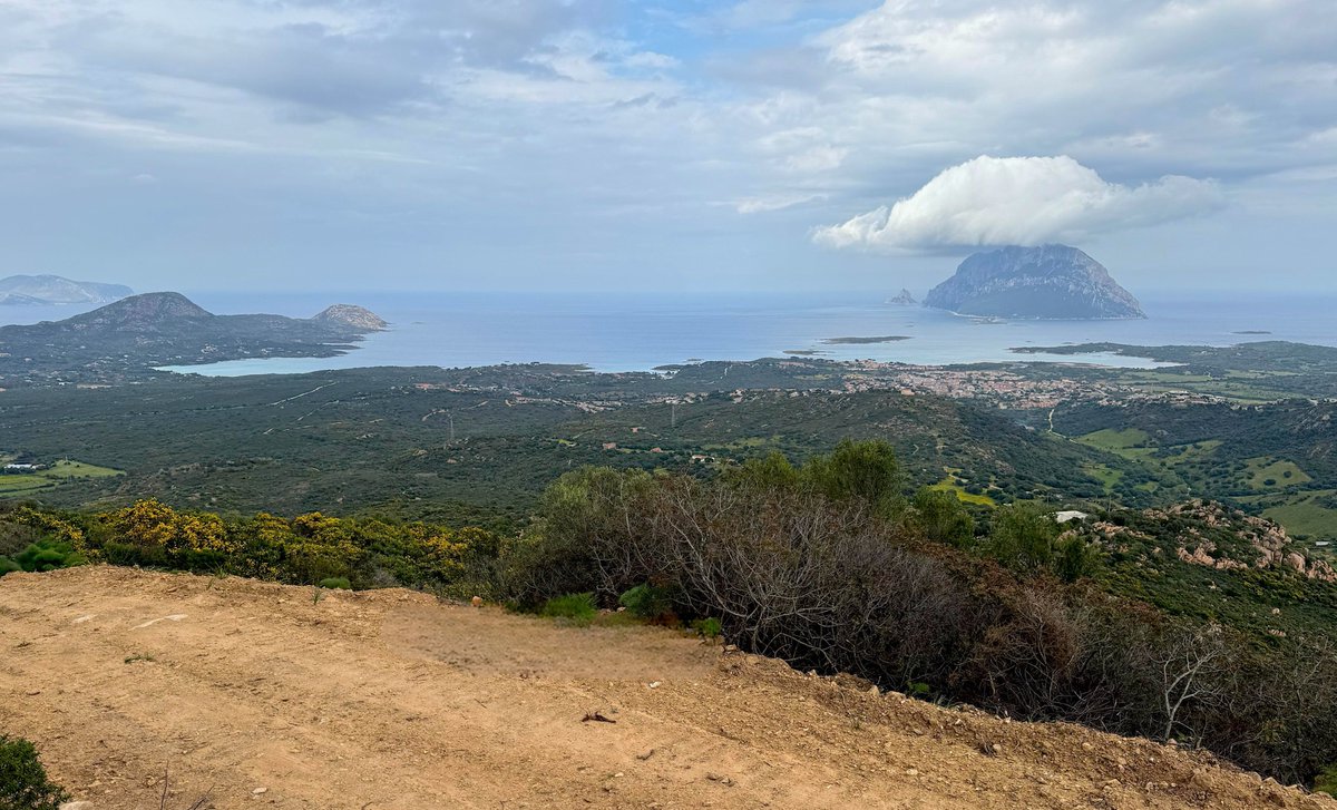 WRC, “Porto San Paolo” la nuova Power Stage affacciata su Tavolara rallytime.eu/2025/04/16/wrc…