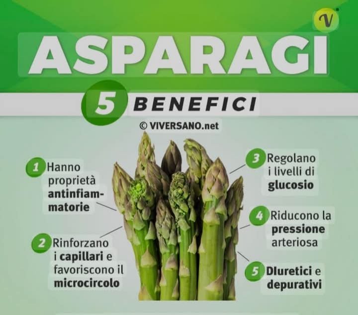 gs_gianka's tweet photo. #sceglitaliano
Gli Asparagi.... propietà
#kmzero https://t.co/R49h3rz13U