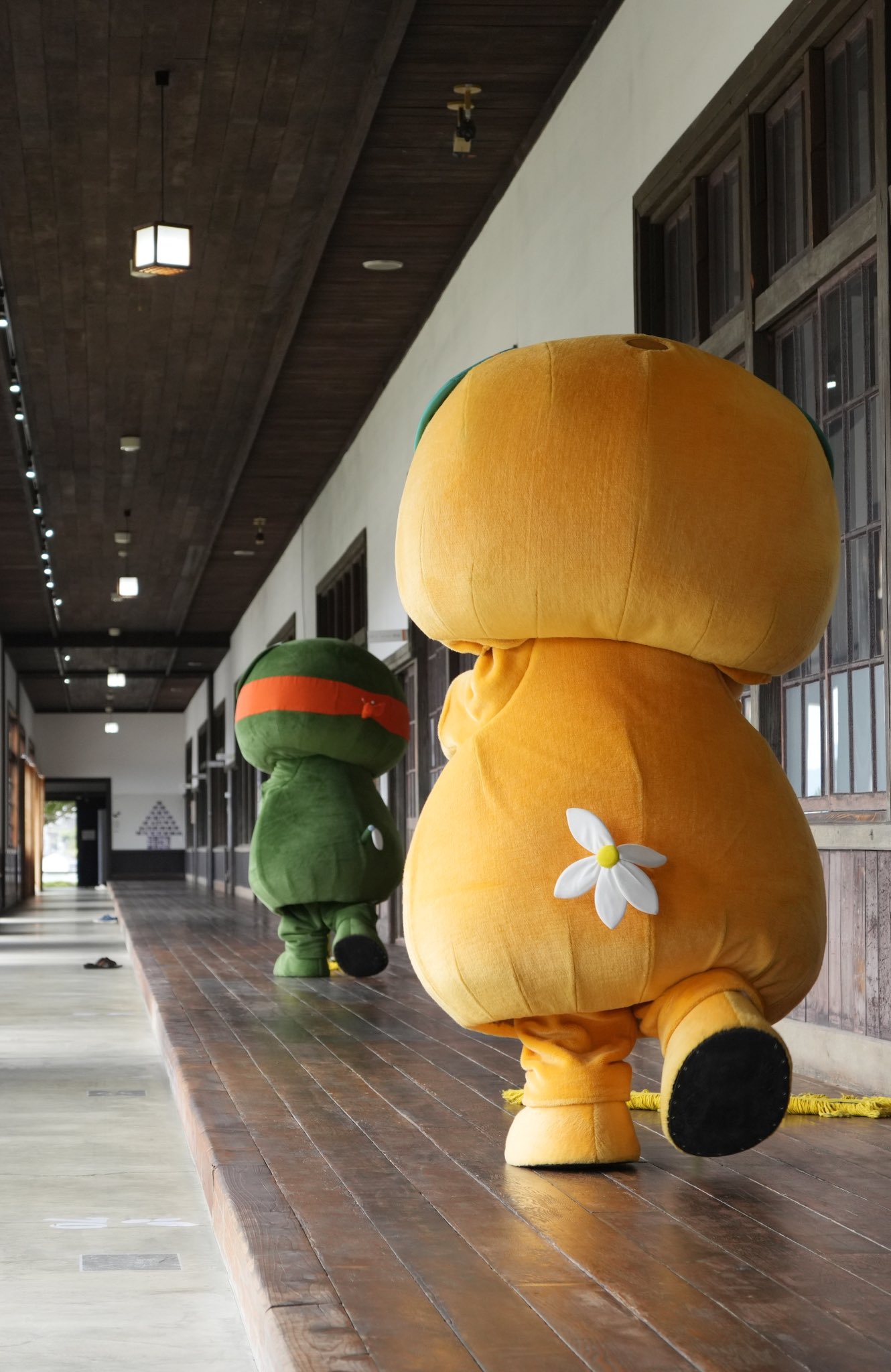 みきゃん【公式】《愛媛県イメージアップキャラクター