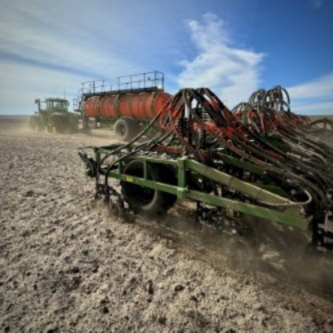 Storage practices and conditions can significantly influence germination. Do a germination test prior to seeding and adjust seeding rates as needed.
If you want to store your seed better next year, give the <a href="/theGRDC/">GRDC</a> Stored Grain Extension team a call on 1800 WEEVIL (1800 933845)
