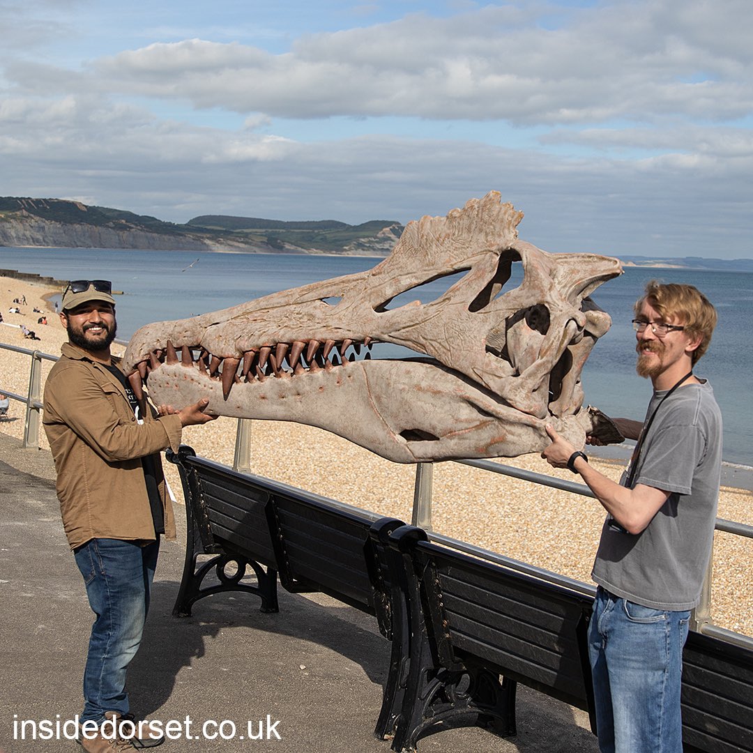 InsideDorset tweet media