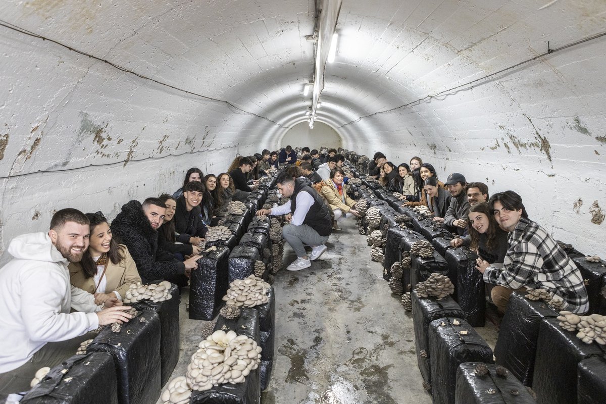 🌱🍇 Continúa la inmersión gastronómica de los estudiantes del <a href="/bculinary/">BasqueCulinaryCenter</a> en La Rioja.
👩‍🍳 En su segunda jornada, visitaron:  
🌿 Lurreko Aromáticas (Préjano)
🍄 Fungiturismo (Pradejón)
🍴 Restaurante Aromas by Zenit (Calahorra)
🫒 Almazara Hejul (Galilea)
#productoriojano