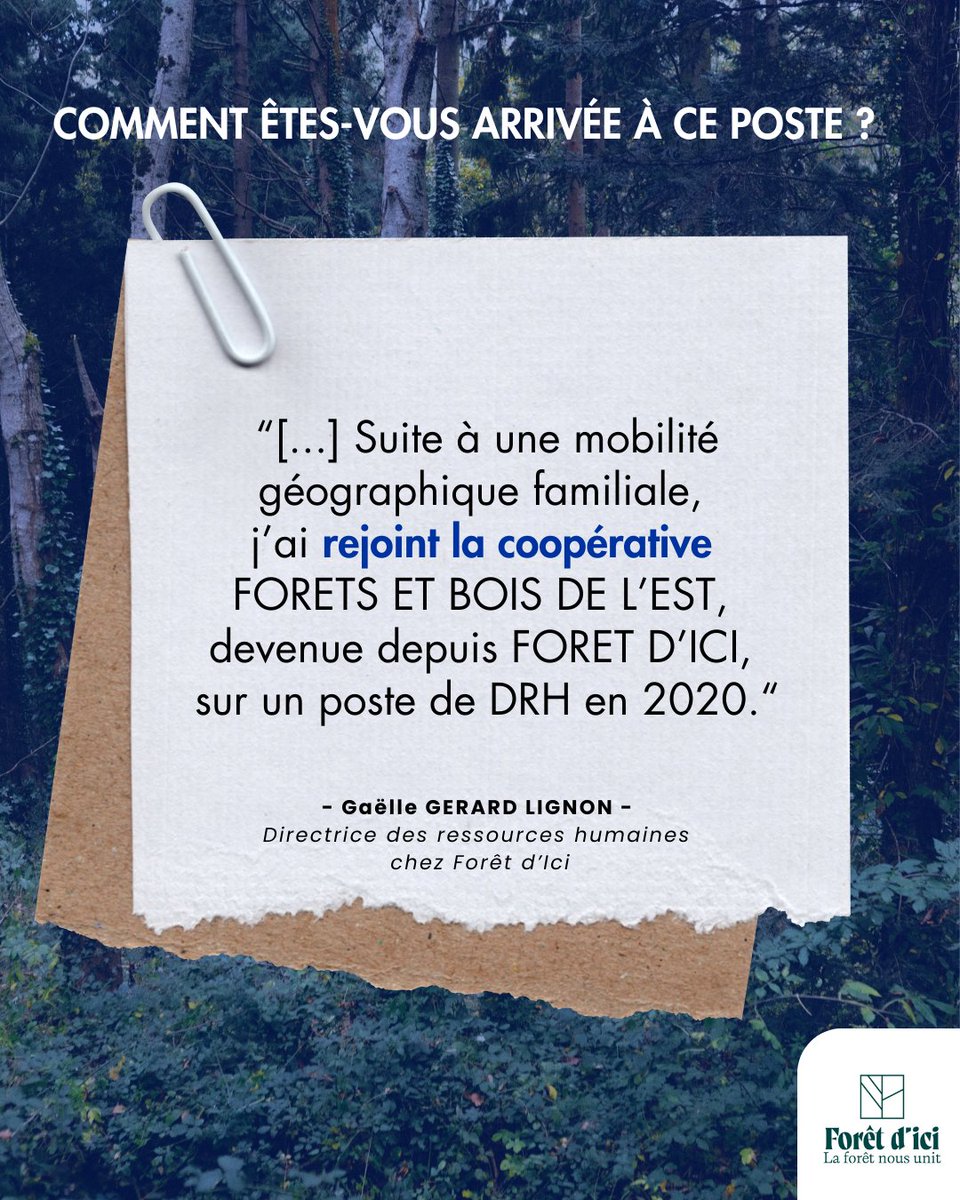 UCFF - Les Coopératives Forestières 🇫🇷 tweet media