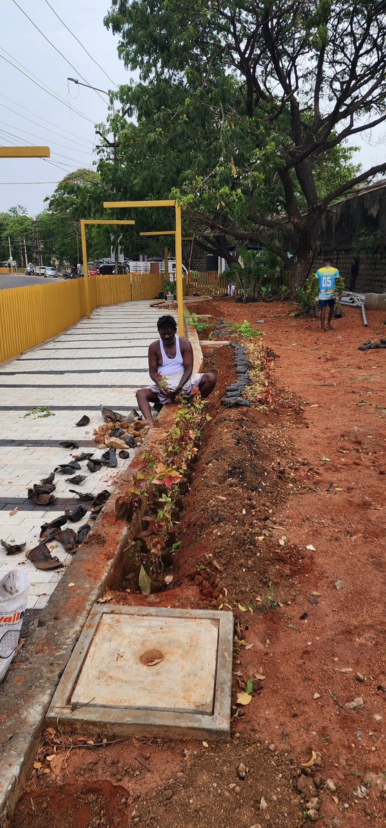 Madurai Insider (@maduraiinsider) on Twitter photo Final works for #Madurai Racecourse ‘Health Walk’ is underway, the pedestrian infrastructure is expected to be opened soon.
#Development #Infra #Roads #Tourism #InvestInMadurai #InvestInTN <a href="/chenthurraaghav/">architect raaghav</a> <a href="/mdu_corp/">Madurai Corporation</a> Final works for #Madurai Racecourse ‘Health Walk’ is underway, the pedestrian infrastructure is expected to be opened soon.
#Development #Infra #Roads #Tourism #InvestInMadurai #InvestInTN <a href="/chenthurraaghav/">architect raaghav</a> <a href="/mdu_corp/">Madurai Corporation</a>