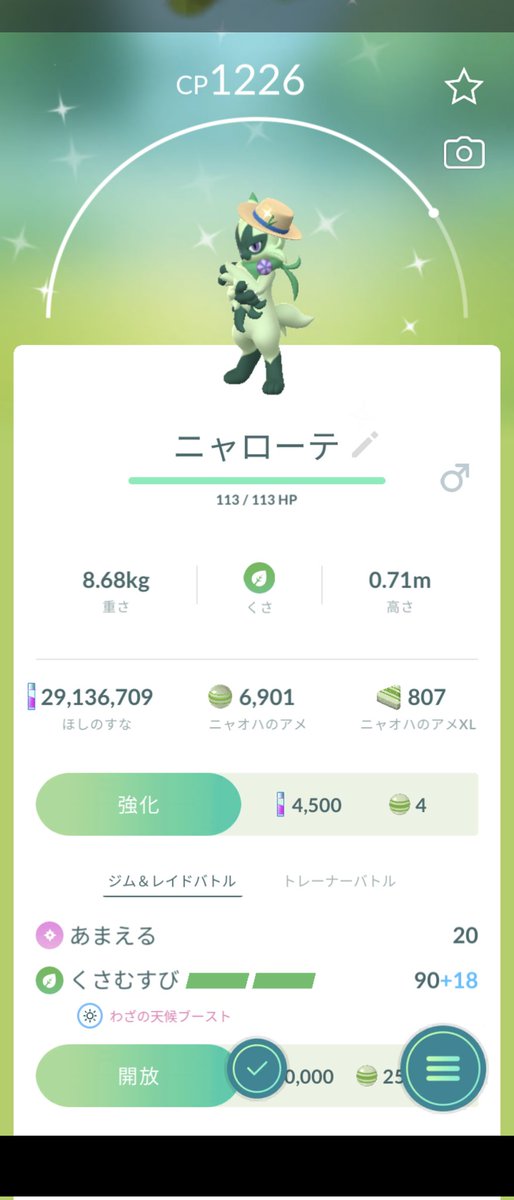 やーじゃるん