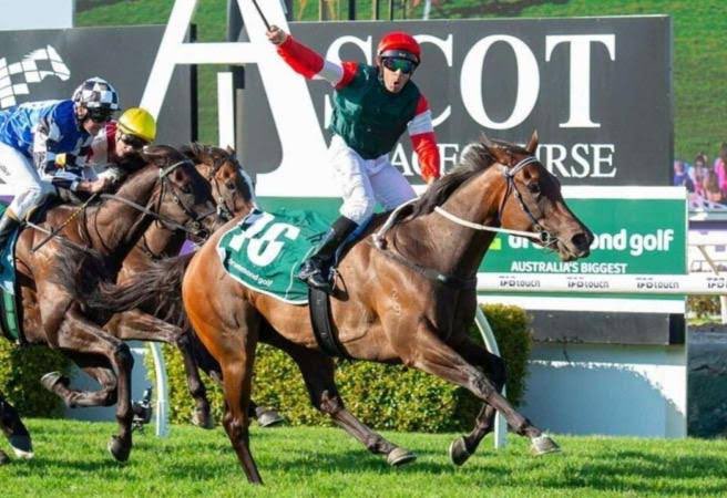 It was so good to chat to the Sports Breakfast crew about the retirement of Amelia’s Jewel 💎 

LISTEN: omny.fm/shows/sports-b…

📸: Western Racepix