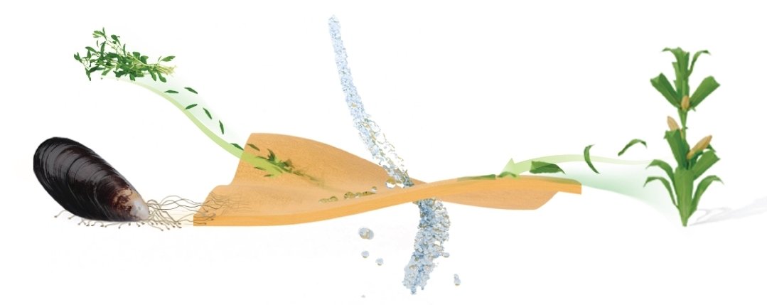 ViktorTth12's tweet photo. I am very excited that our paper was published in #MaterialsToday Interfacial polymerization of dopamine 🦪 with diamines 🌽 for ultrastable Janus nanofiltration membranes and adhesives is now available @ElsevierMS

https://t.co/0RWmJnarZU…

@KAUST_PSE 
@AMPM_KAUST 
@KAUST_BESE https://t.co/f0mTHXefNO