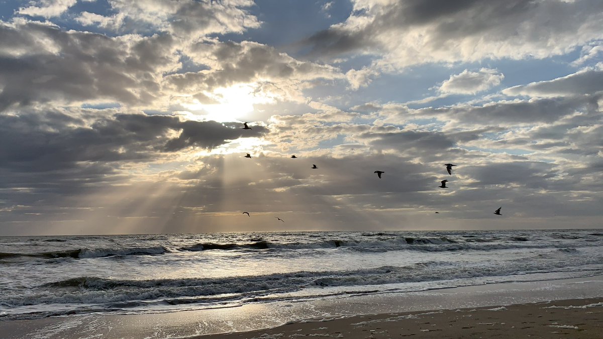 jkavandijk's tweet photo. Goedemorgen#VriendenVanX! Vandaag is het thema van #aprilphotoaday ‘chasing light’. Nou is dat de definitie van fotografie, maar vooruit ik duik wel even in de collectie. https://t.co/XIXN1zo75t
