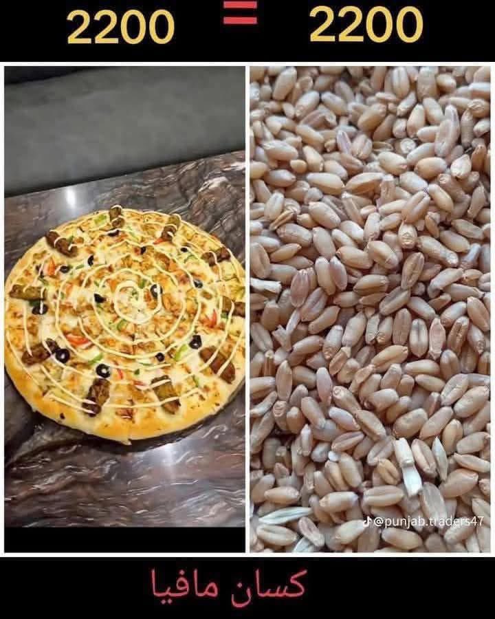 پیزا تیار کرنے میں 1 گھنٹہ لگتا ہے اور گندم تیار کرنے میں 6 ماہ۔۔
اے حاکم وقت تیرے کردار پے تھو۔۔

#NoMoreCanalsOnIndus 
#SindhRejectsCorporateFarming