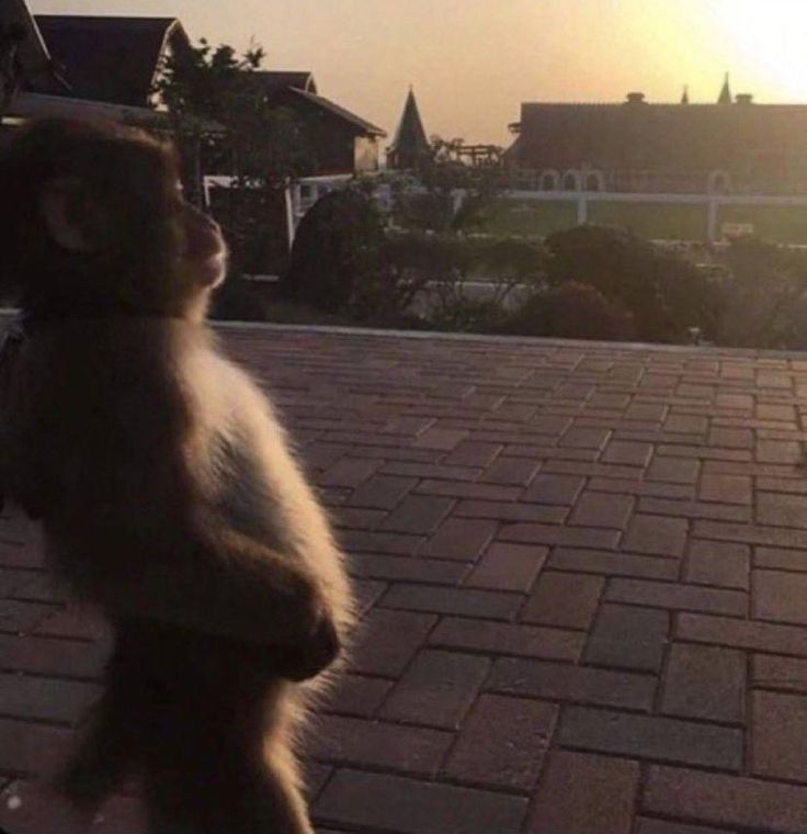 turned 22 years old.. wow im old