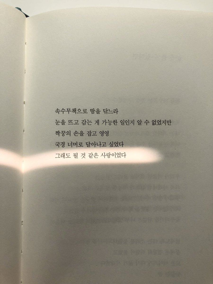 bbhedgehog2's tweet image. 햇빛이 형광펜처럼 들어온거야..