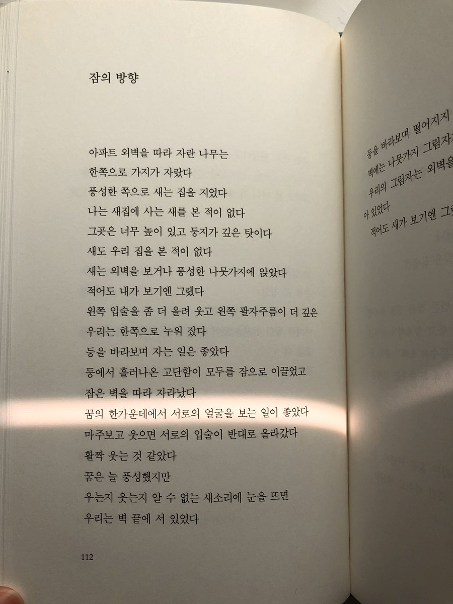 bbhedgehog2's tweet image. 햇빛이 형광펜처럼 들어온거야..