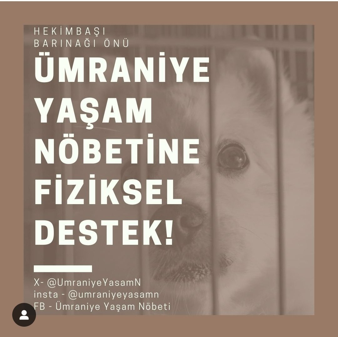Sinek kuşu (@sinekkuu4) on Twitter photo <a href="/UmraniyeYasamN/">Ümraniye Yaşam Nöbeti</a> <a href="/nihatsirdar/">Nihat Sırdar</a> 181 gündür 7/24 ümraniye barınak yaşam nöbetini tutuyoruz. Katılımcı bulmamız için paylaşım yapar mısınız? <a href="/UmraniyeYasamN/">Ümraniye Yaşam Nöbeti</a> <a href="/nihatsirdar/">Nihat Sırdar</a> 181 gündür 7/24 ümraniye barınak yaşam nöbetini tutuyoruz. Katılımcı bulmamız için paylaşım yapar mısınız?