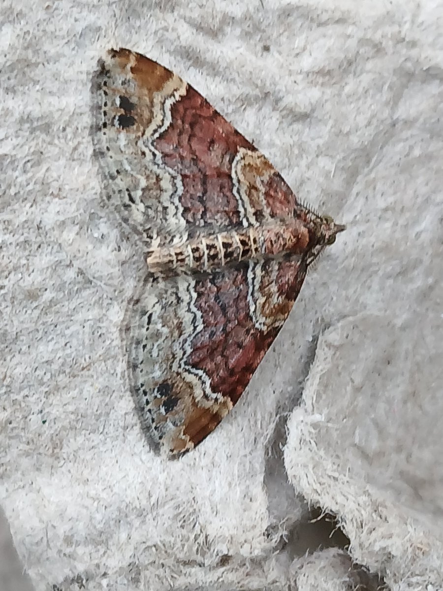 Baggeridge Park tweet media