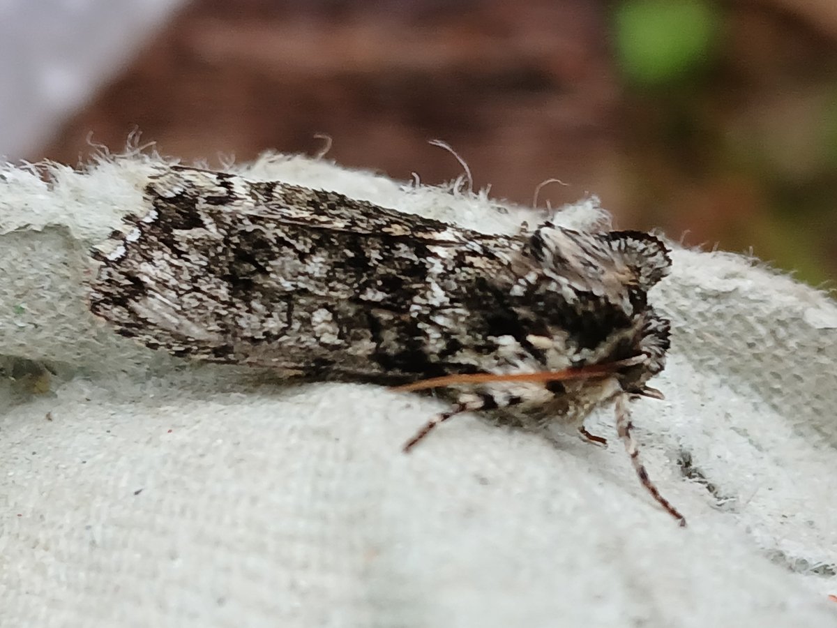 Baggeridge Park tweet media