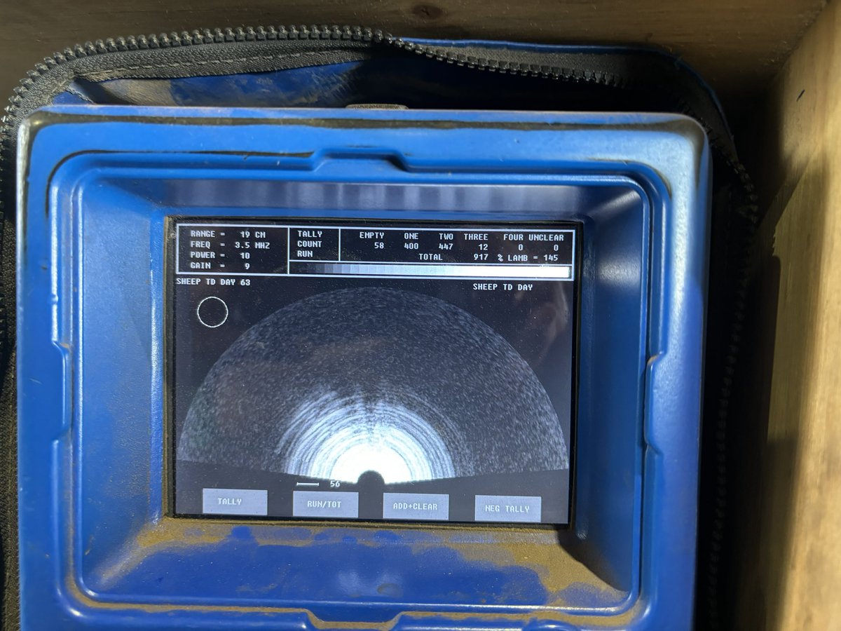 Judgment day rolls around again, first foray at a 21 day join, 6% dry, 145% CS range during joining 3-3.5, lighter ewes 10% dry, 136%…would/will I do it again.. yep I’ll sign on the line.