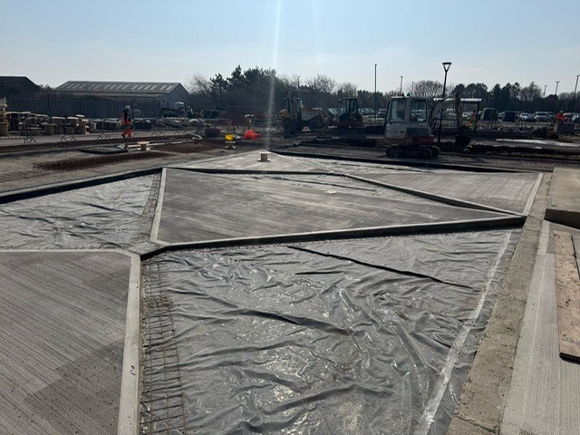 Amodeo Limited tweet media