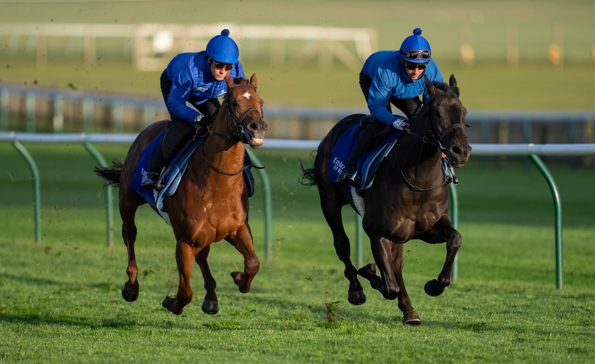 🔵 GODOLPHIN EXERCISE ON THE ROWLEY MILE 🔵

1 - Ruling Court
2 - Shadow Of Light
3 - Desert Flower
4 - Notable Speech