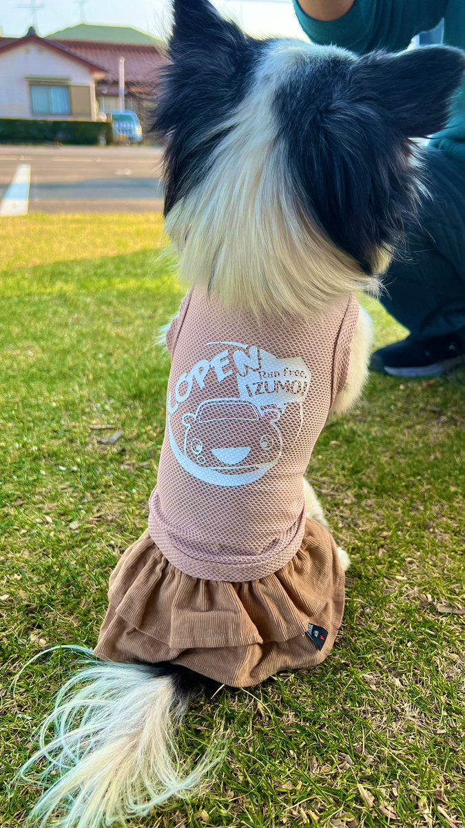 riz_copen's tweet photo. 出雲🐶専用
👕夏用のメッシュシャツ作った❣️
めったんこ可愛いゾイ!!!!!

今週末もイベント出店ありなので
出店準備しながら、
エスコペ確定メール送って
日々のご注文製作してきます💪

#ユルスタ #ユルスタイル #yurustyle
#くるまっこ #一宮
#チワワ #本日の出雲 #コペン #copen https://t.co/Q3caNb5K4C
