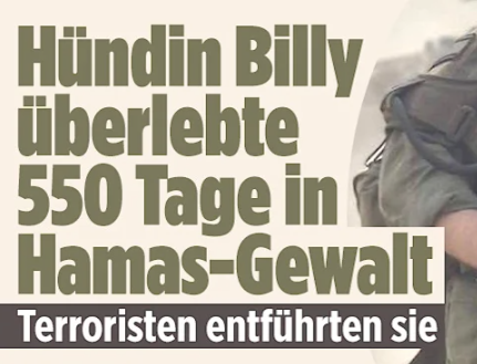 Wie deutsch bist du?

BILD:

#hamas #israel #Gaza