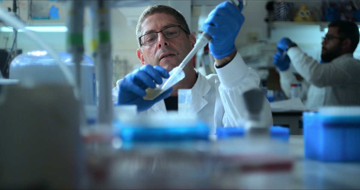 Systems_Immunology_WIS (@sys_immunology) on Twitter photo Big congrats to our <a href="/Sys_Immunology/">Systems_Immunology_WIS</a> member (and department head) <a href="/EranElinav/">Eran Elinav</a> <a href="/Elinav_Lab/">ElinavLab</a> <a href="/Elinav_DKFZ/">Microbiome & Cancer Elinav Lab at DKFZ</a> for being inducted to the German National Academy of Sciences (Leopoldina)! Way to go and well deserved Eran! Big congrats to our <a href="/Sys_Immunology/">Systems_Immunology_WIS</a> member (and department head) <a href="/EranElinav/">Eran Elinav</a> <a href="/Elinav_Lab/">ElinavLab</a> <a href="/Elinav_DKFZ/">Microbiome & Cancer Elinav Lab at DKFZ</a> for being inducted to the German National Academy of Sciences (Leopoldina)! Way to go and well deserved Eran!
