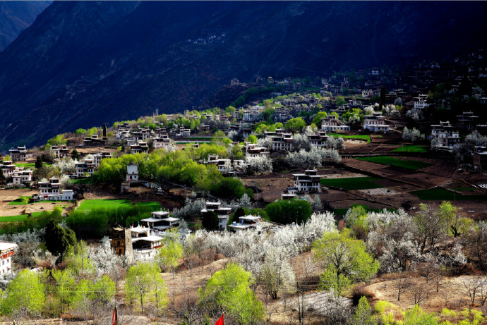 GanziChina's tweet image. Gotta experience the Pear Blossom Festival in Danba, Ganzi! Stay in cozy homestays, groove to Tibetan dances, make tsampa, dress up in traditional Jiarong attire... This cultural immersion is absolutely unforgettable!
#GanziGuide #SpringTrip #Tibetan #culture #Travel #China