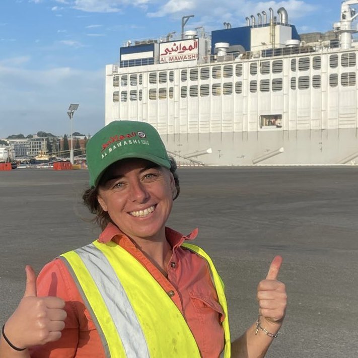 💚❤️🚢🐑🌊