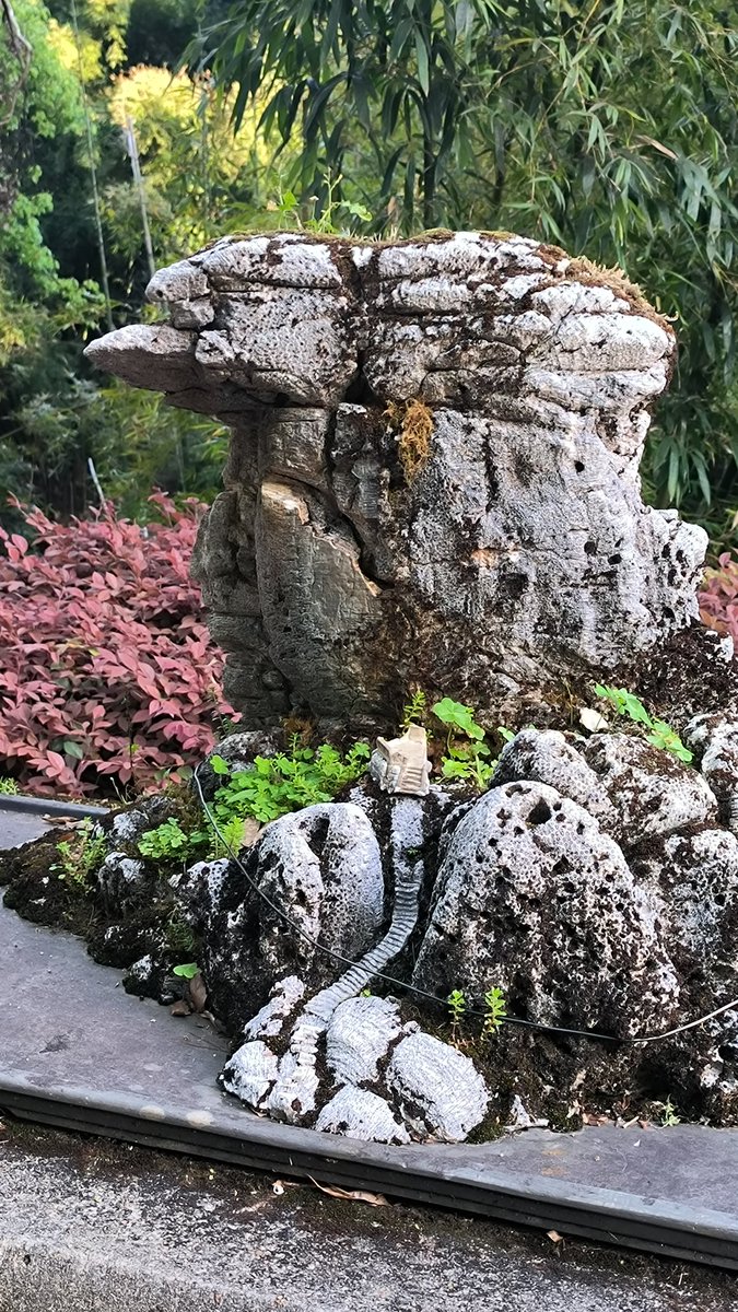 感觉这个石头下一秒就要对我征收关税