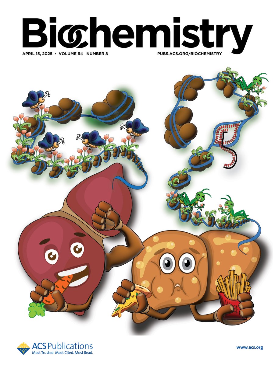 Siddhesh Kamat (@kamatlab_iiser) on Twitter photo A collaborative paper with <a href="/chandri52599020/">chandrima das</a>'s lab recently published in <a href="/BiochemistryACS/">Biochemistry</a> featured on the cover of the current issue. Cover art by Atanu. Link to paper: pubs.acs.org/doi/10.1021/ac… A collaborative paper with <a href="/chandri52599020/">chandrima das</a>'s lab recently published in <a href="/BiochemistryACS/">Biochemistry</a> featured on the cover of the current issue. Cover art by Atanu. Link to paper: pubs.acs.org/doi/10.1021/ac…