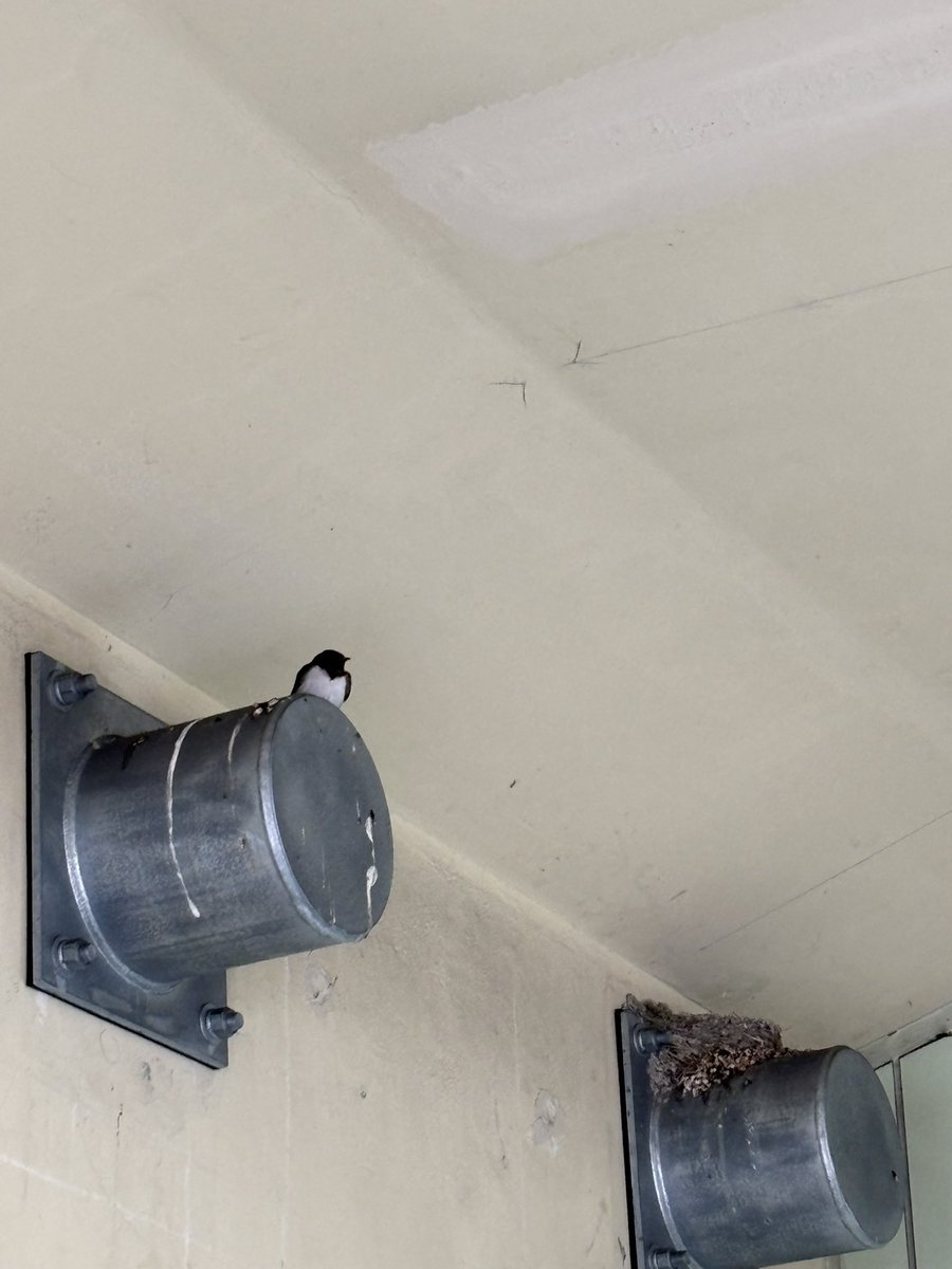 今年もこの季節がやってきました。
お互い頑張ろうね♪♪