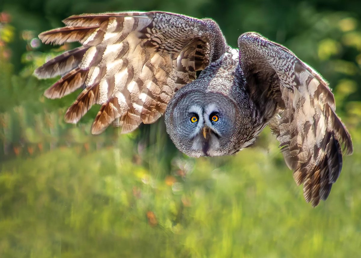 ARU Sustainability Team tweet media