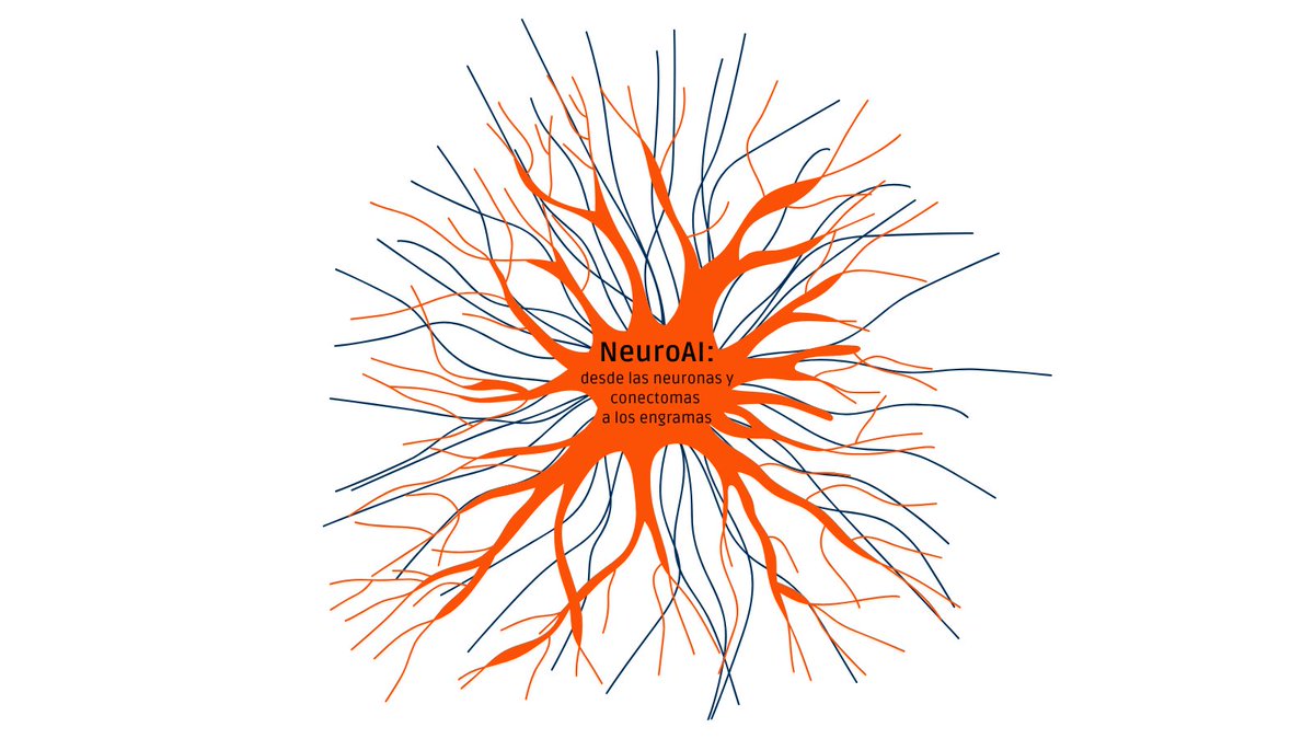 IFCA_CSIC_UC's tweet image. 🧠🤖 ¿Y si el cerebro humano fuera la clave para crear una inteligencia artificial más potente, eficiente y... consciente?
Apúntate a este #cursodeverano de la
@UIMP : uimp.es/agenda-link.ht…