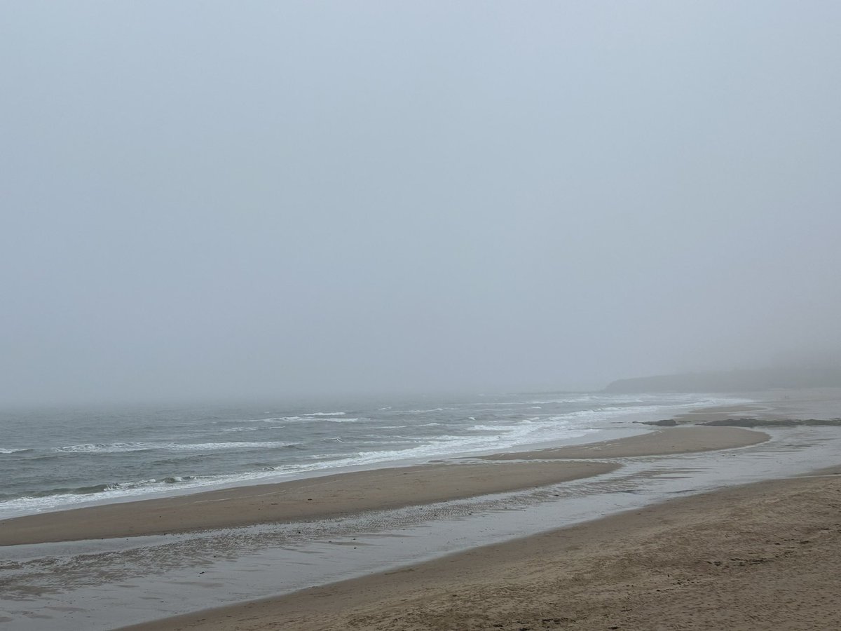 theobald_sue's tweet image. #Longsands