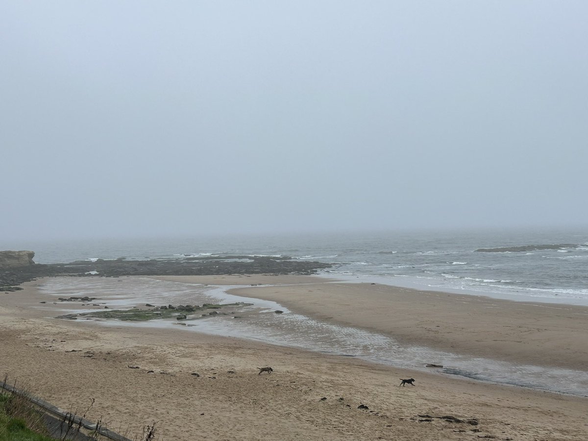 theobald_sue's tweet image. #Longsands