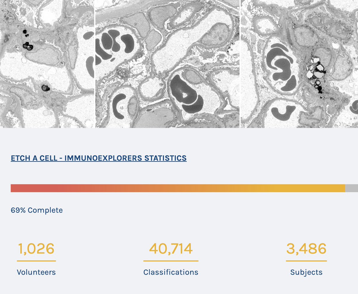Etch a cell tweet media