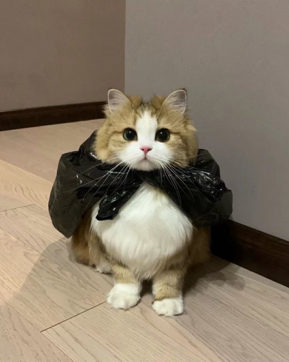 一言突っ込んで！