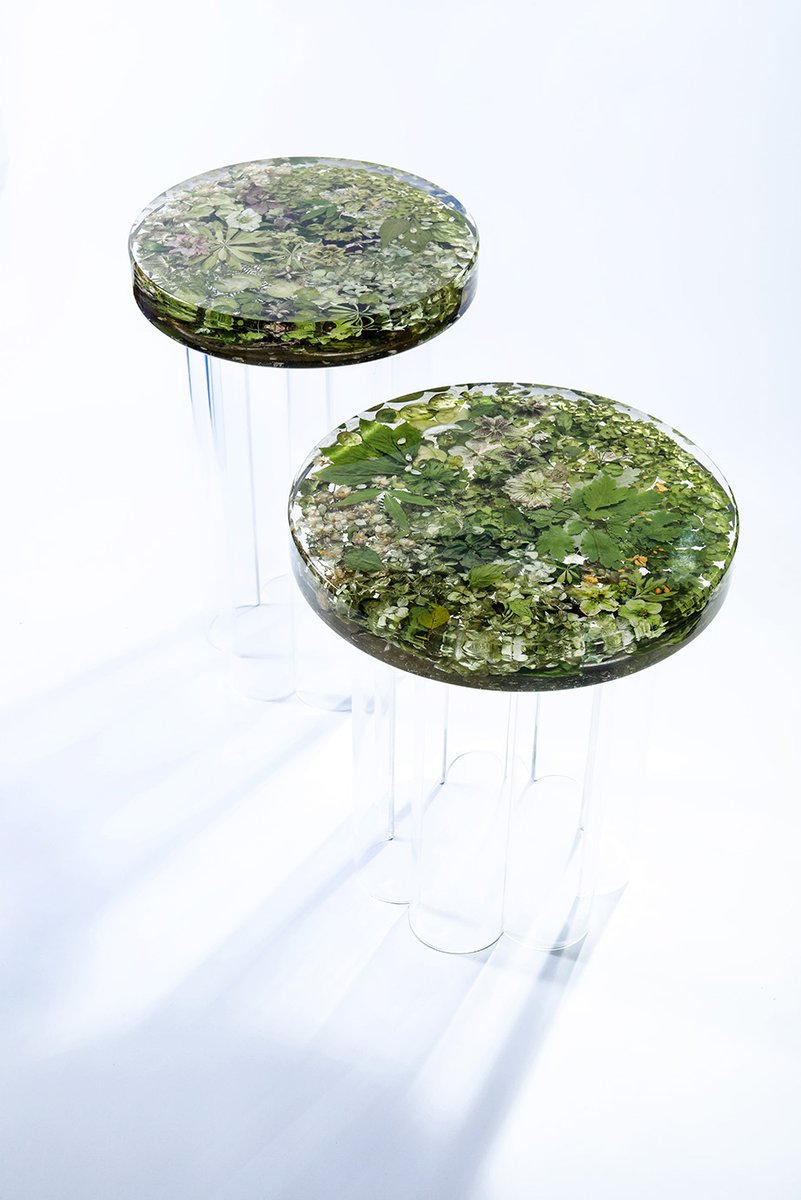 Golden Fleece Award tweet media