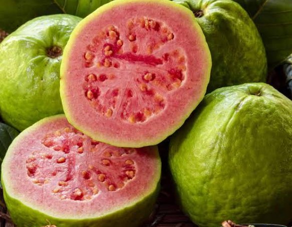 GhettoRadio895's tweet photo. Unamezea health benefits za mapera? 
Ni kama gani?
#MamaNtilie with @Tellah_Venesa 
Guava trees are native to tropical America 
#NiajeNiaje https://t.co/v5bxpYErhr
